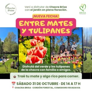 ENTRE MATES Y TULIPANES