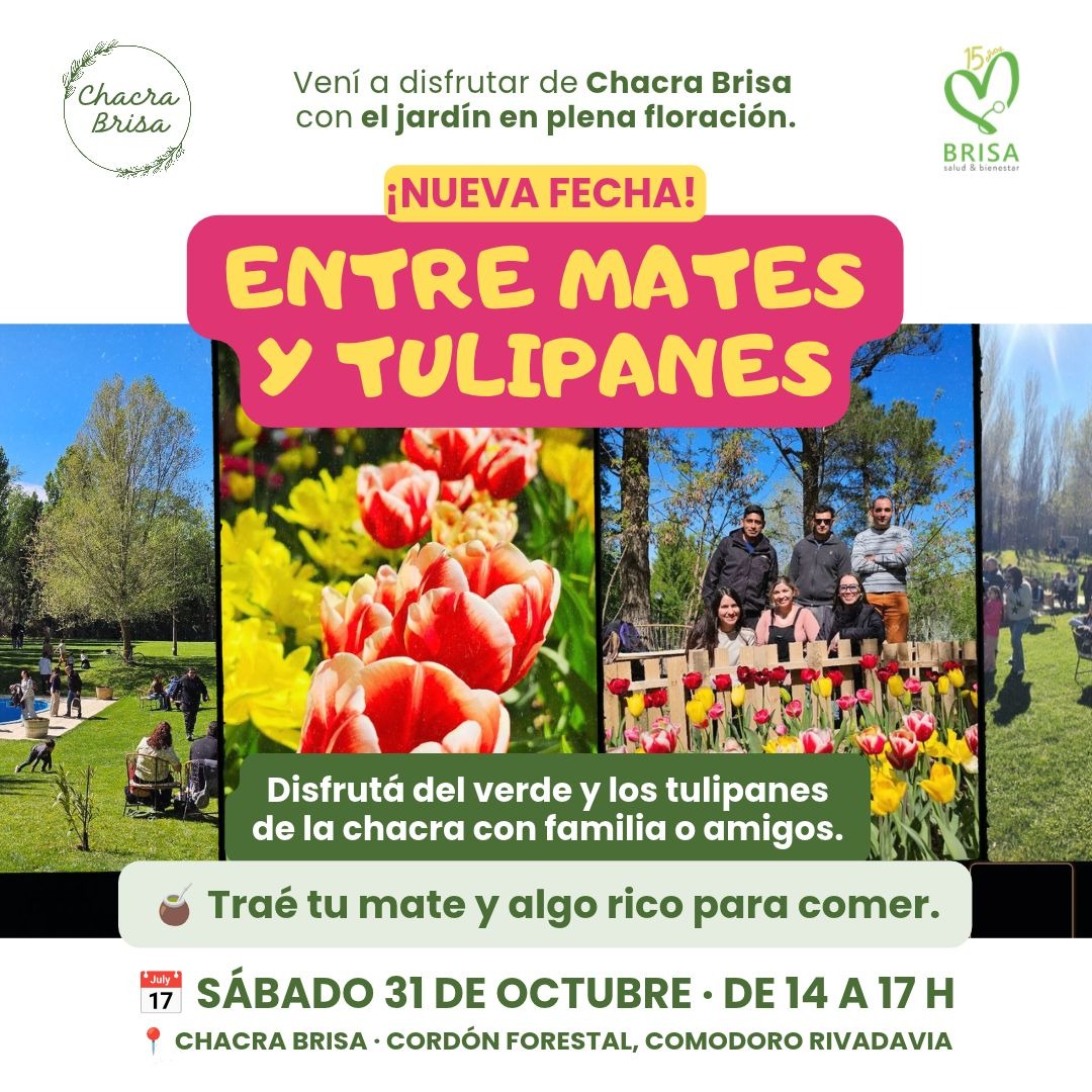 ENTRE MATES Y TULIPANES